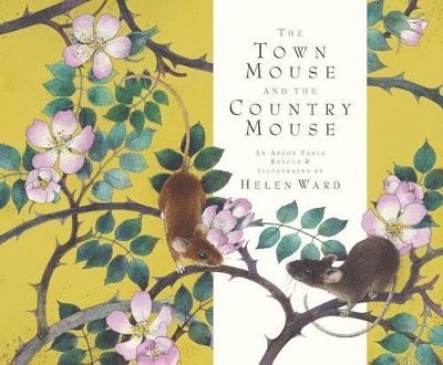 The Town Mouse and the Country Mouse 1