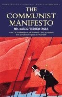 bokomslag Communist Manifesto