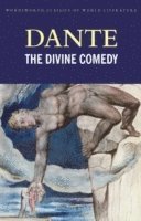 bokomslag Divine Comedy