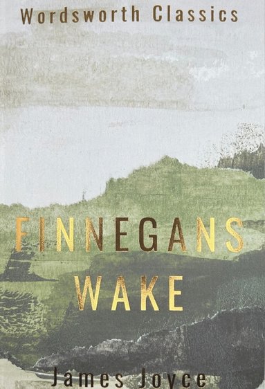 bokomslag Finnegans Wake