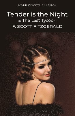 bokomslag Tender is the Night / The Last Tycoon