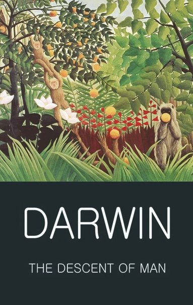Charles Darwin, Tom Griffith - Descent of Man, Häftad