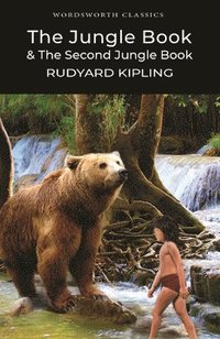 bokomslag Jungle Book & The Second Jungle Book
