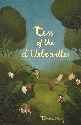 bokomslag Tess of the d'Urbervilles