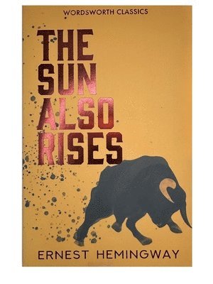 The Sun Also Rises 1