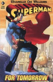 bokomslag Superman: v. 1