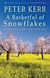 bokomslag Basketful Of Snowflakes