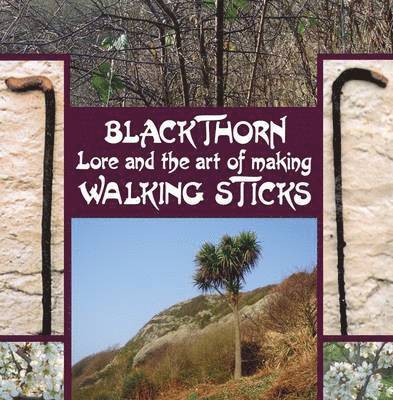 Blackthorn Lore and the Art of Making Walking Sticks 1