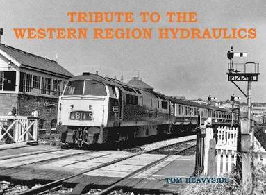 bokomslag Tribute to the Western Region Hydraulics