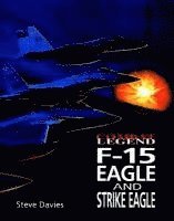 bokomslag F-15 Eagle & Strike Eagle