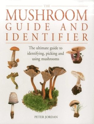 Mushroom Guide and Identifier