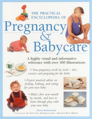 bokomslag The Practical Encyclopedia of Pregnancy & Babycare