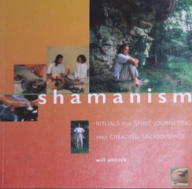 bokomslag Shamanism