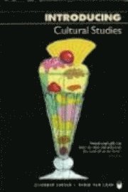 Introducing Cultural Studies