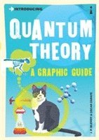 J.P. McEvoy, Oscar Zarate - Introducing Quantum Theory, Häftad