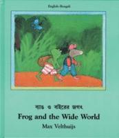 bokomslag Frog and the Wide World