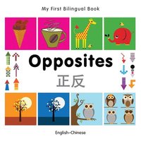 bokomslag My First Bilingual Book -  Opposites (English-Chinese)