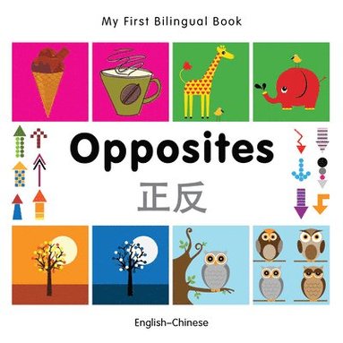 bokomslag My First Bilingual Book -  Opposites (English-Chinese)
