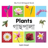 bokomslag My First Bilingual Book -  Plants (English-Bengali)