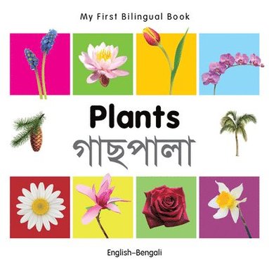 bokomslag My First Bilingual Book -  Plants (English-Bengali)