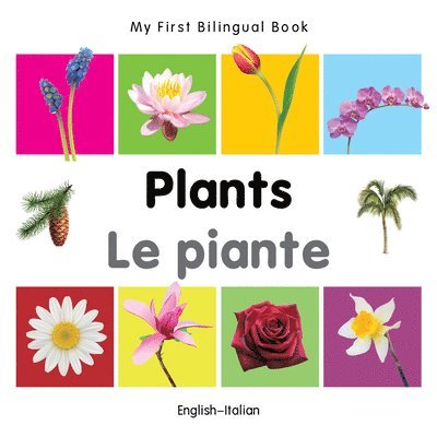 Milet Publishing - My First Bilingual Book-Plants (English-Italian), Kartonnage