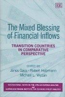 János Gács, Robert Holzmann, Michael L. Wyzan - Mixed Blessing of Financial Inflows, Inbunden