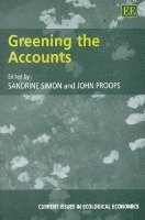 bokomslag Greening the Accounts