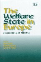 bokomslag The Welfare State in Europe