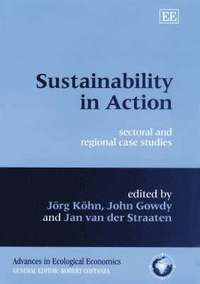 bokomslag Sustainability in Action
