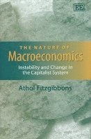 bokomslag The Nature of Macroeconomics