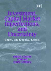 bokomslag Investment, Capital Market Imperfections, and Uncertainty