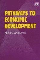 bokomslag Pathways to Economic Development