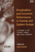 bokomslag Privatization and Economic Performance in Central and Eastern Europe
