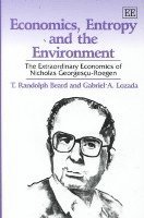 bokomslag Economics, Entropy and the Environment