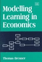 bokomslag Modelling Learning in Economics