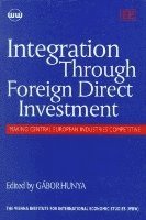 Integration Through Foreign Direct Investment 1