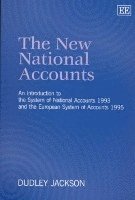 bokomslag New National Accounts