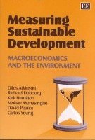 bokomslag Measuring Sustainable Development