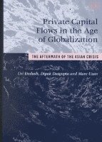 bokomslag Private Capital Flows in the Age of Globalization