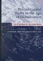 Private Capital Flows in the Age of Globalization 1