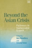 bokomslag Beyond the Asian Crisis