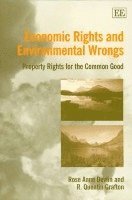bokomslag Economic Rights and Environmental Wrongs