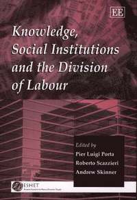 bokomslag Knowledge, Social Institutions and the Division of Labour