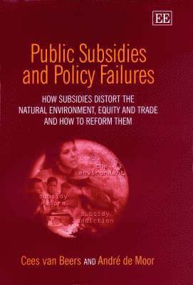 Public Subsidies and Policy Failures 1