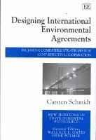 bokomslag Designing International Environmental Agreements