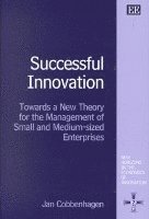 bokomslag Successful Innovation