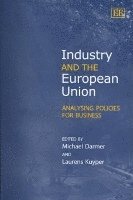 bokomslag Industry and the European Union
