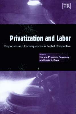 bokomslag Privatization and Labor