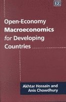 bokomslag Open-Economy Macroeconomics for Developing Countries