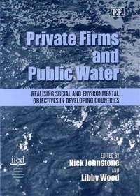 bokomslag Private Firms and Public Water
